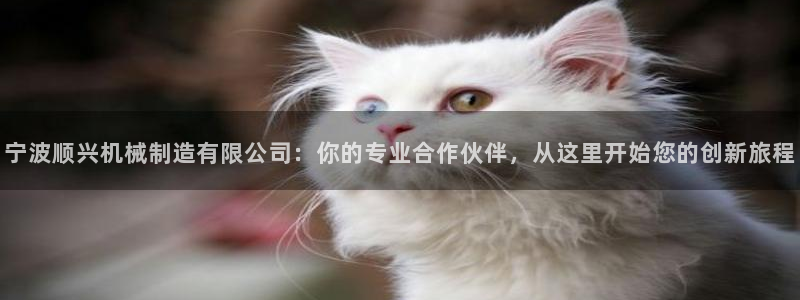 万事达娱乐胡善良