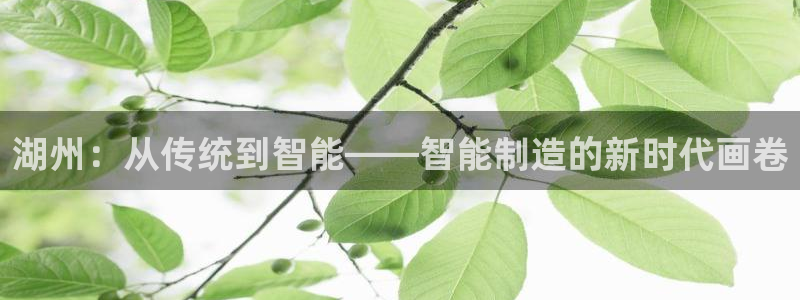 万事娱乐怎么拿代理