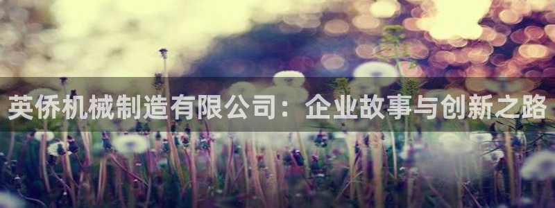 万事娱乐方案编号