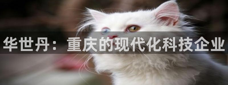 万事达娱乐h OO判官