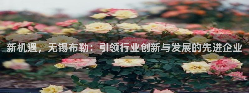 万事娱乐平台怎么样了