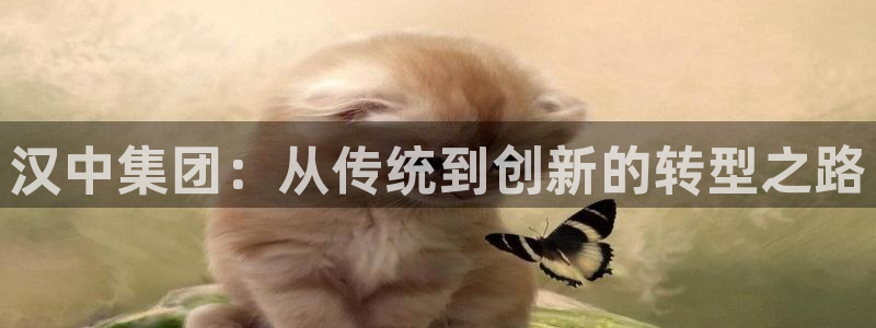 万事达娱乐管95692事s