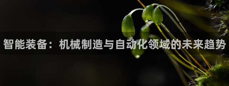 万事达娱乐指尖之