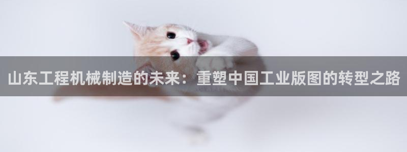 娱乐万事通现状