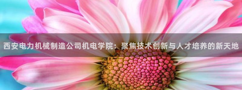 跟万事娱乐一样的平台