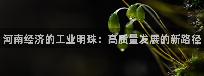 万事达娱乐 39444