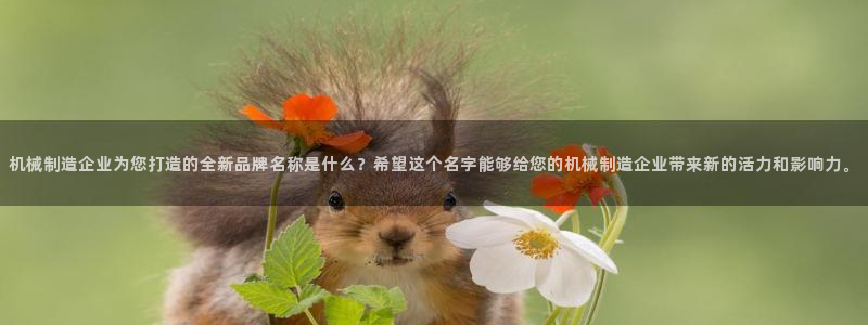 万事娱乐成立
