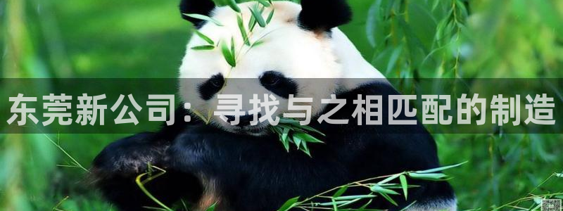 万事娱乐官网网址