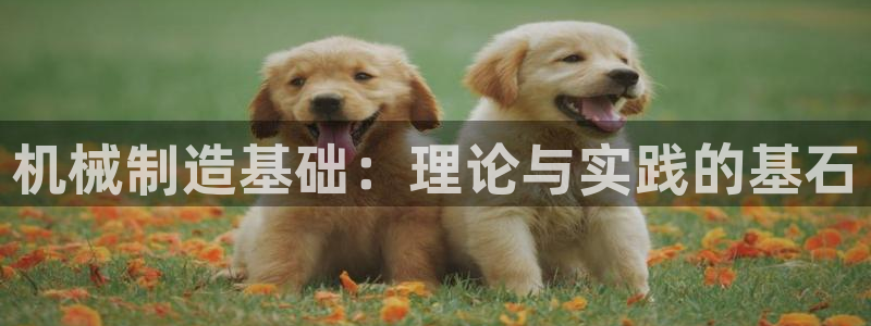 万事豪情娱乐会所