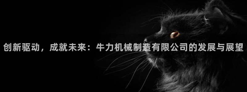 娱乐节目万事屋