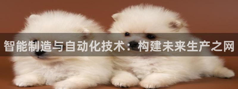 万事达娱乐f 判官