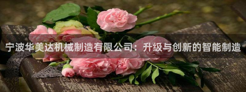 万事达娱乐指尖得