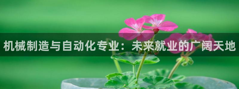 万事娱乐平台怎么样