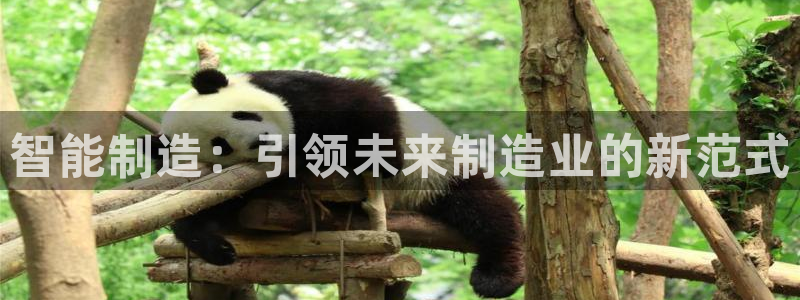 万事娱乐2