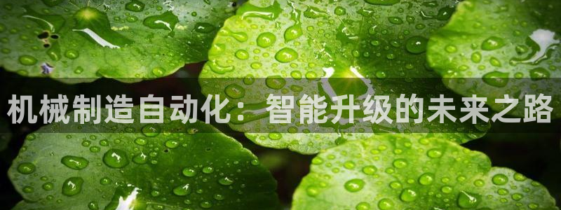 万事娱乐公司简介