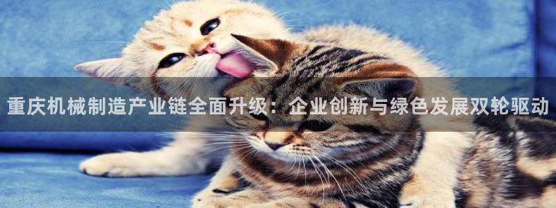 万事娱乐主管薪资结构