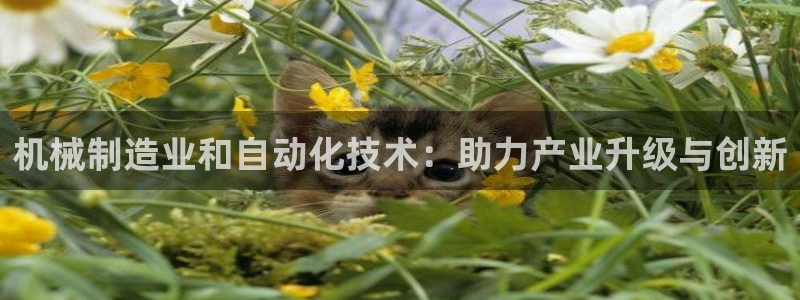 万事娱乐怎么成为会员