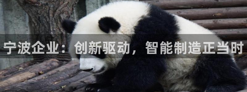 万事娱乐官网下载安卓