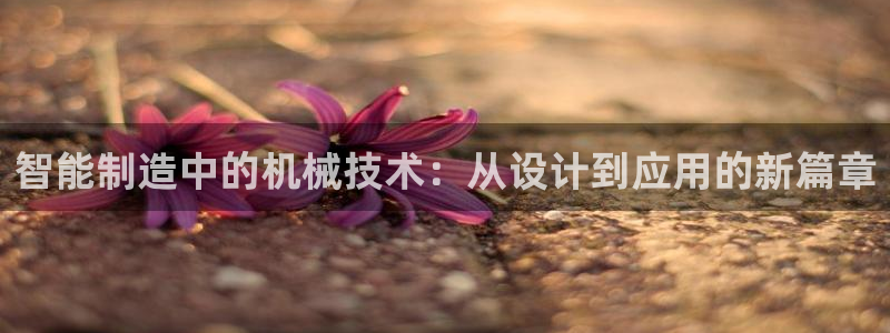 万事达娱乐筘55312