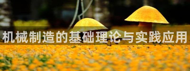 万事娱乐手机客户端