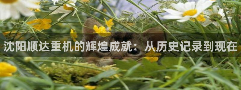 万事娱乐计划官网