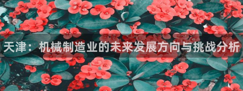 娱乐播放万事屋