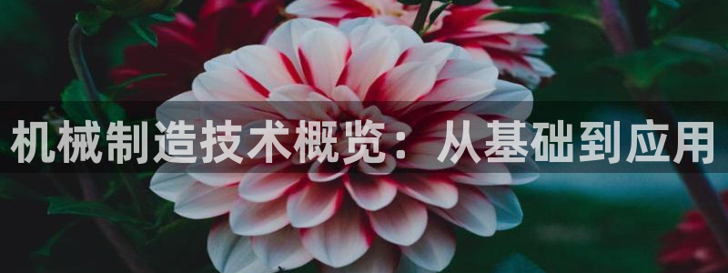 万事达娱乐a实力56262