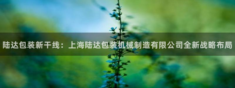 万事娱乐邵然