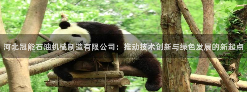 万事娱乐成立