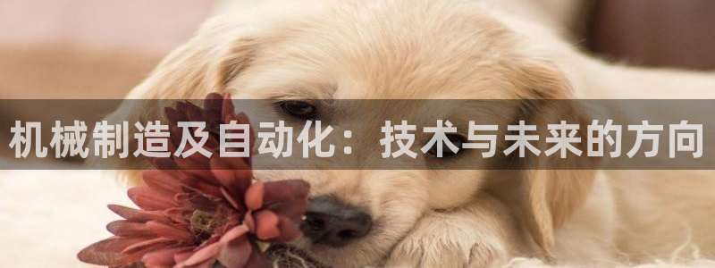 万事达娱乐下载