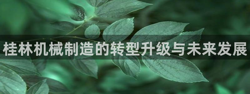 娱乐万事通现状